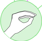 Imagen simbolizando un lagarto